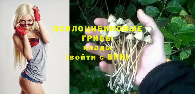 Псилоцибиновые грибы Cubensis  ссылка на мегу онион  Октябрьский  купить наркоту 